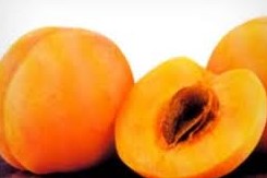 HOMME 55 ans LILLE SAVOURE un Bel Abricot